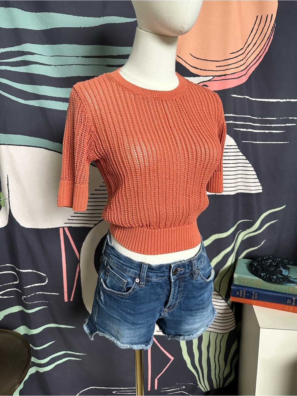 Double Zero Rust Short-Sleeve Knit Crop Top